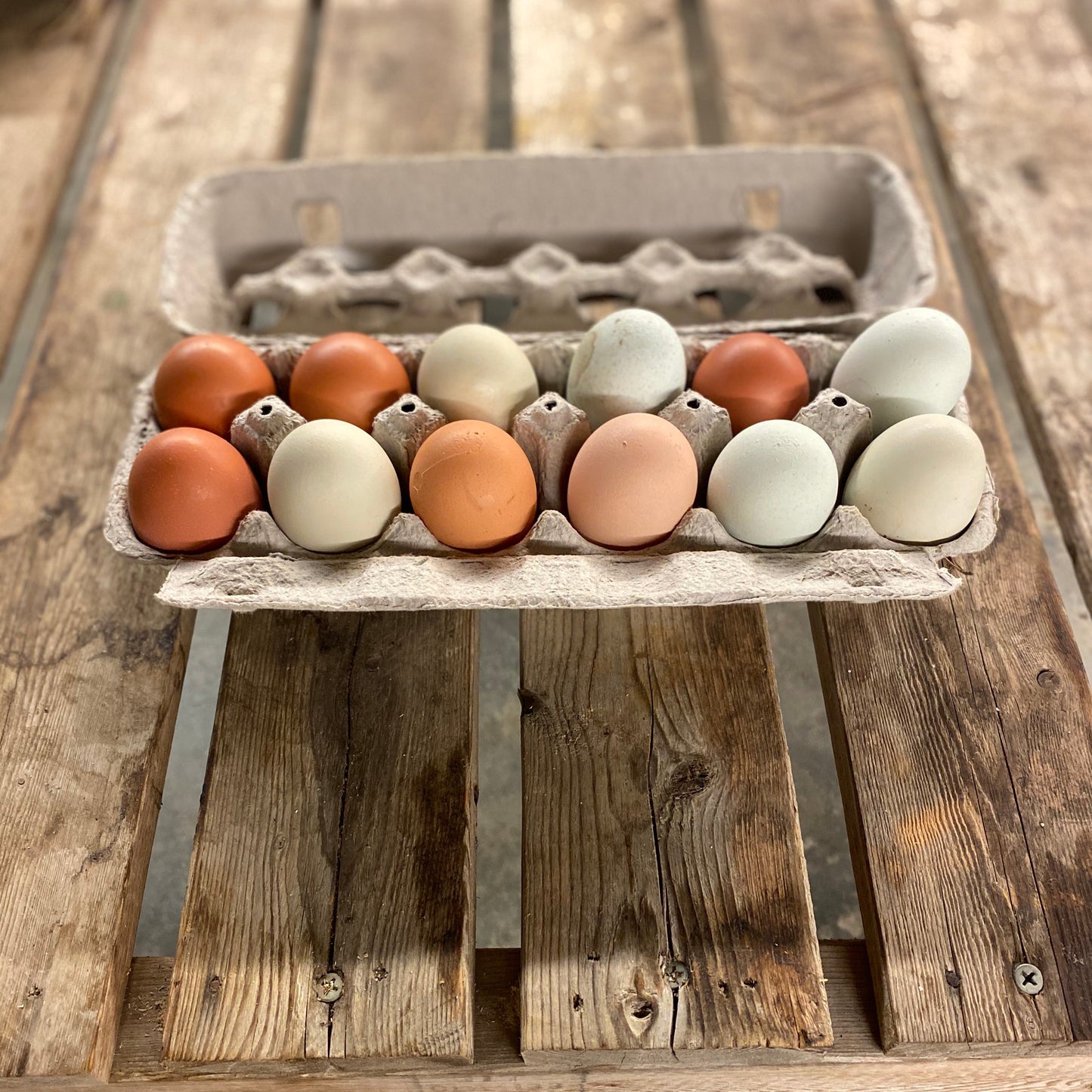 Benevolence Farm Eggs